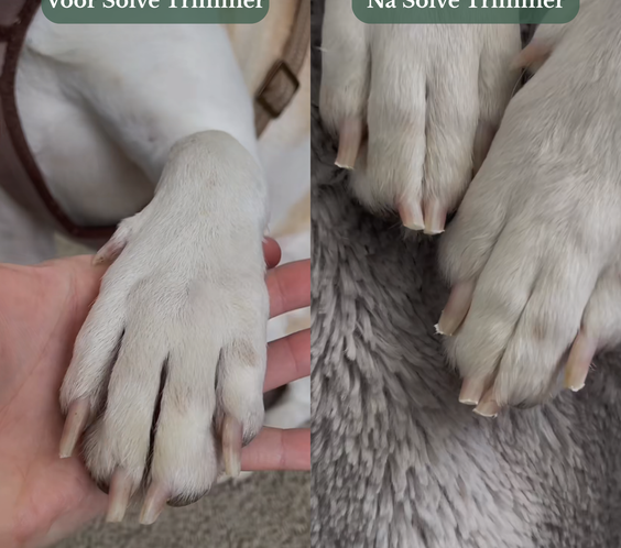 Solve NagelTrimmer