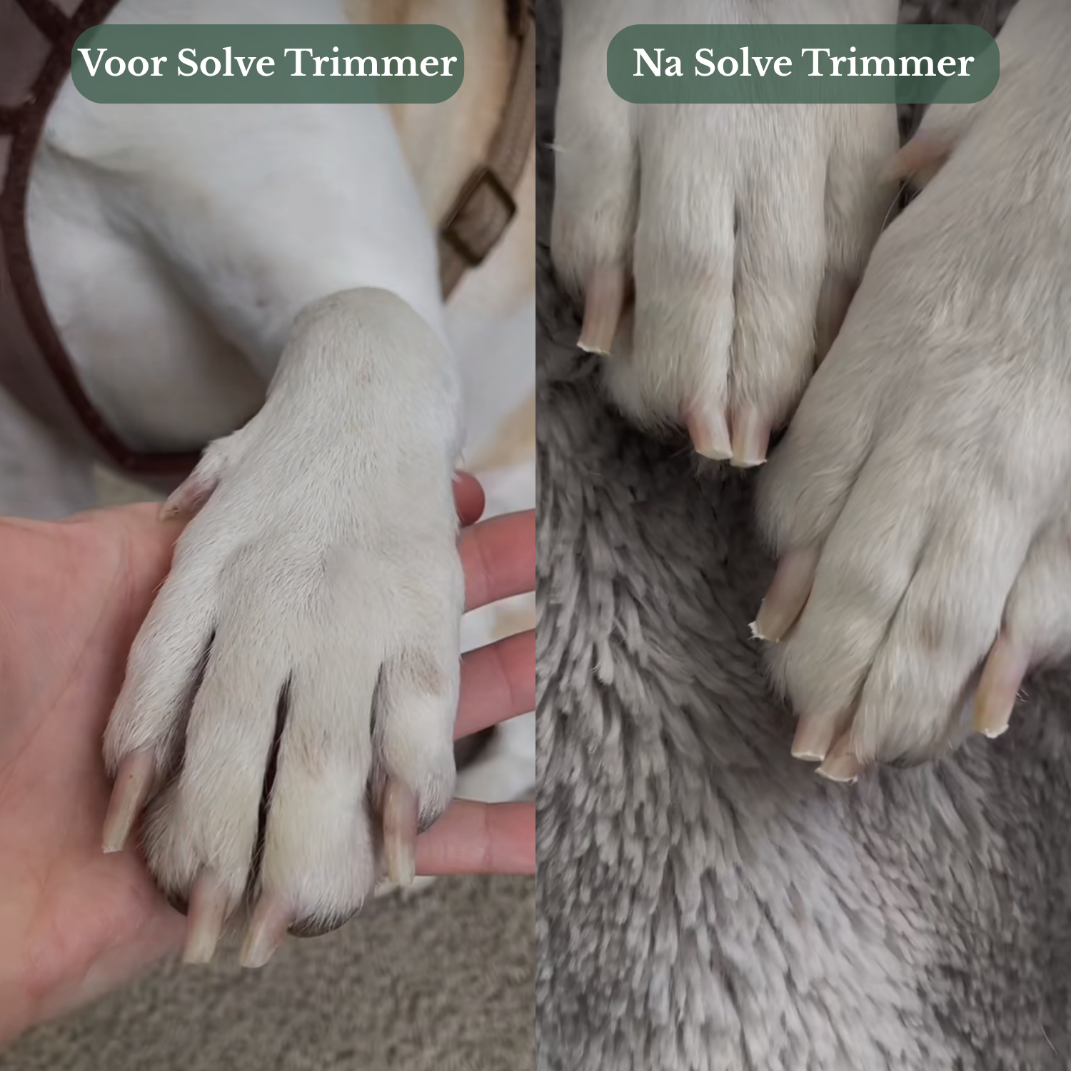 Solve NagelTrimmer