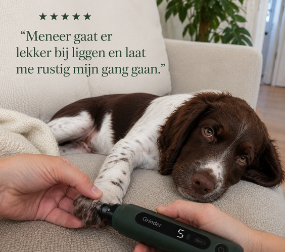 Solve NagelTrimmer