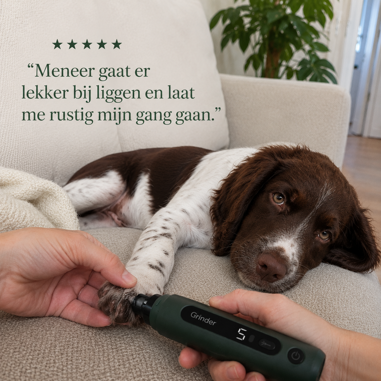 Solve NagelTrimmer